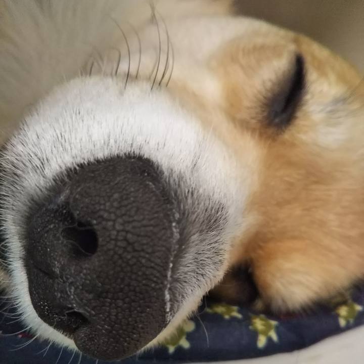 A8dc98e5 93da 4764 80de 3276e2db81c4 1523505338074