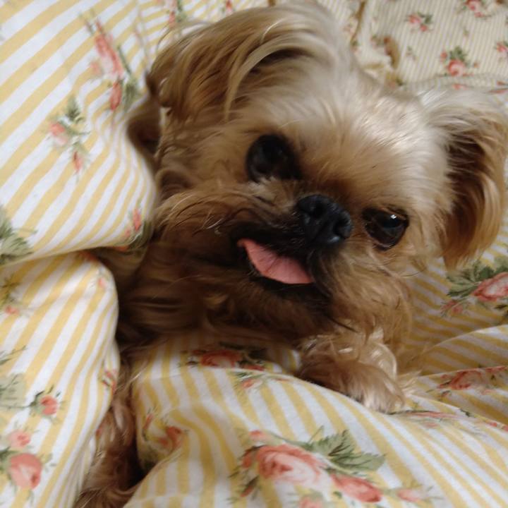 A8dcd1c1 4de7 4269 8d9a 52863a8ac0c5 1611237591493