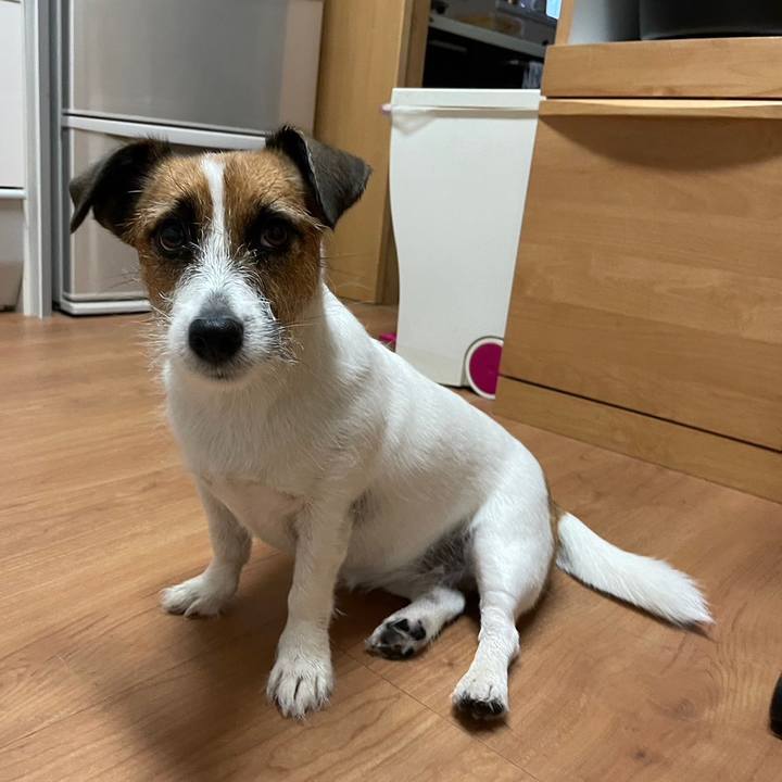 A8dcd46e 8f1d 466a 9e2e b44d51480a7f 1695770695883