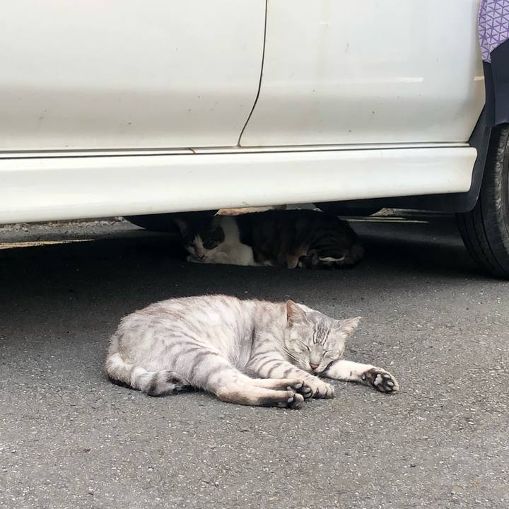 A8dcd6f8 9aad 41a9 9b3f 1f0e4e398fdc 1626242433698