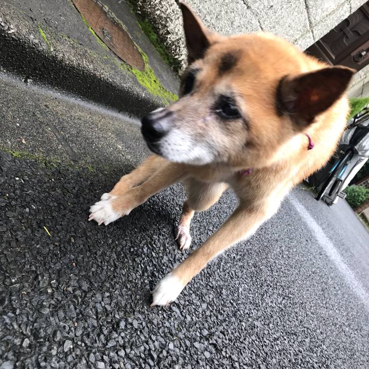 A8dd0e5d 6d8c 40c2 b8f5 e8037565e6f9 1564271615952