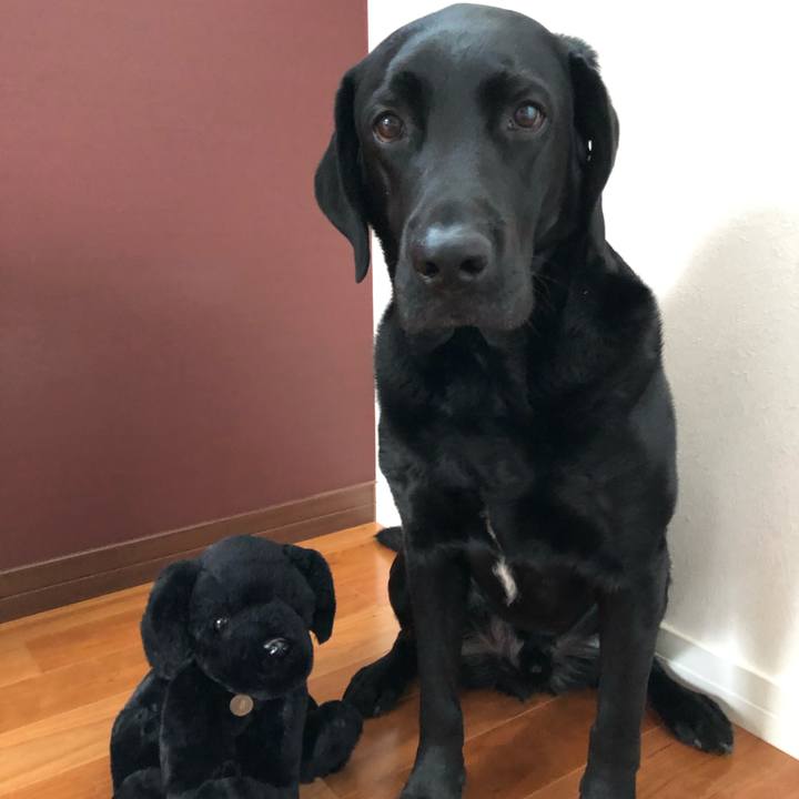 A8dd1a60 0cd0 4240 b53b c07ec9a60474 1583199661991