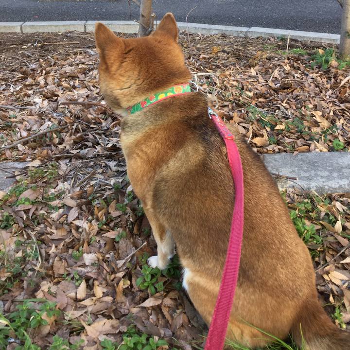 A8dd60dd d8d4 4e8c 829c 79a120d3fcc1 1549079961659