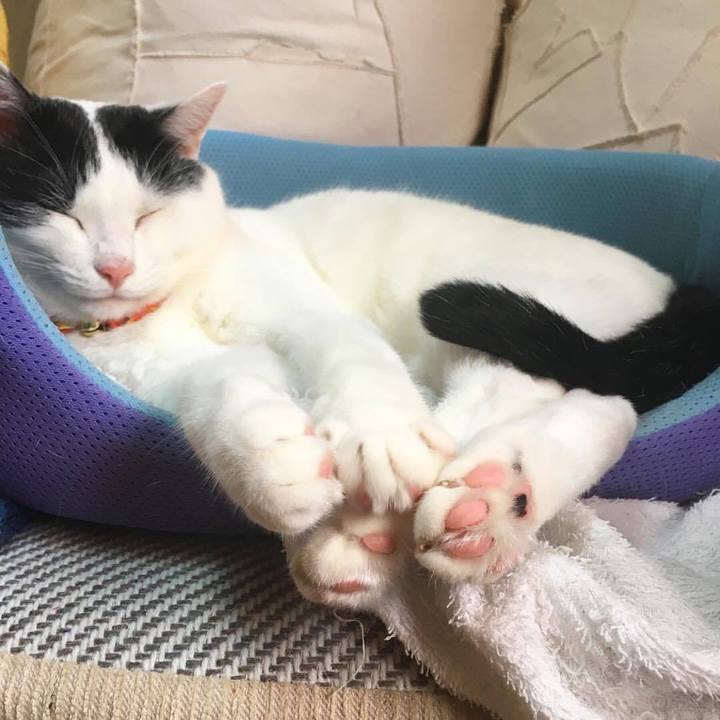 A8dd8f6b 8df4 45d3 9223 ada9ea6424d4 1565779389642