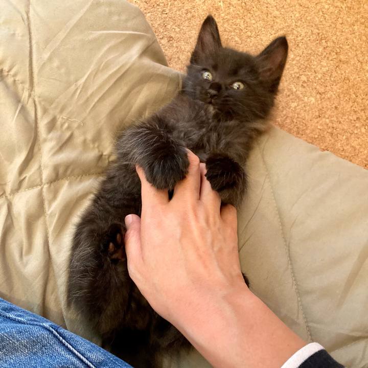 A8dda12f 44e7 44d0 ad76 f7b8273f8ee9 1698481377198