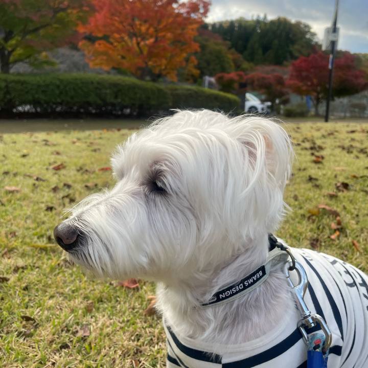 A8ddb778 36c5 418d 8eb3 138bc0ecd168 1764152447827