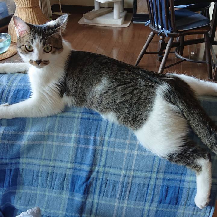 A8ddcf98 12bb 4e8d bb37 a9d1e72f78bf 1558653667067