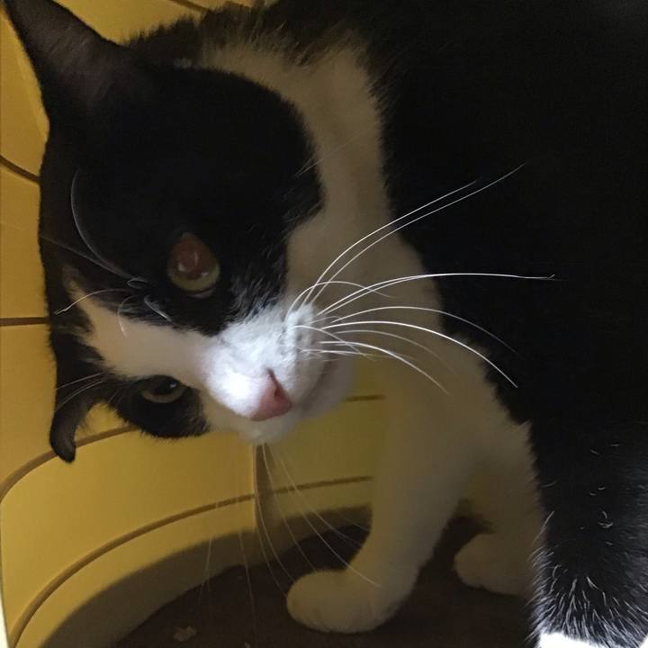 A8dde60d 531f 4a70 8b4b 548eda985751 1729327550394