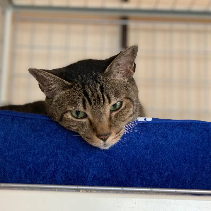 A8ddeb4a 9d2c 4cb9 8afb b2ef3e404c4a 1564793098107