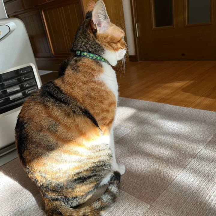 A8ddf02e 6729 4f2b 98d7 0941e8241a84 1703292184520