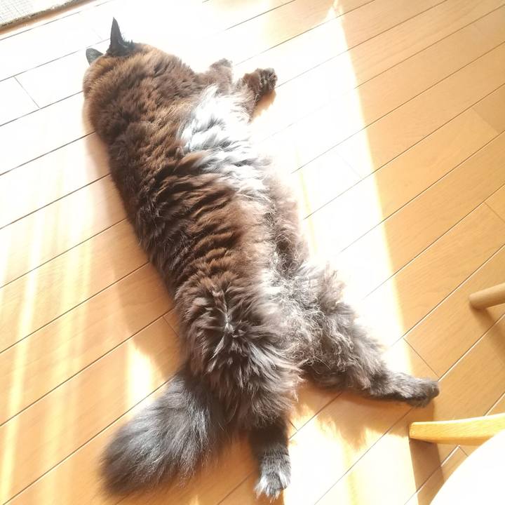 A8de3b13 279c 414c 889e f44b1244f3ff 1678511677860