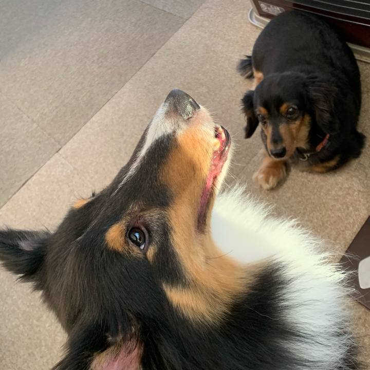 A8de3e53 2733 420c b28b 95dd010a8583 1603836129862