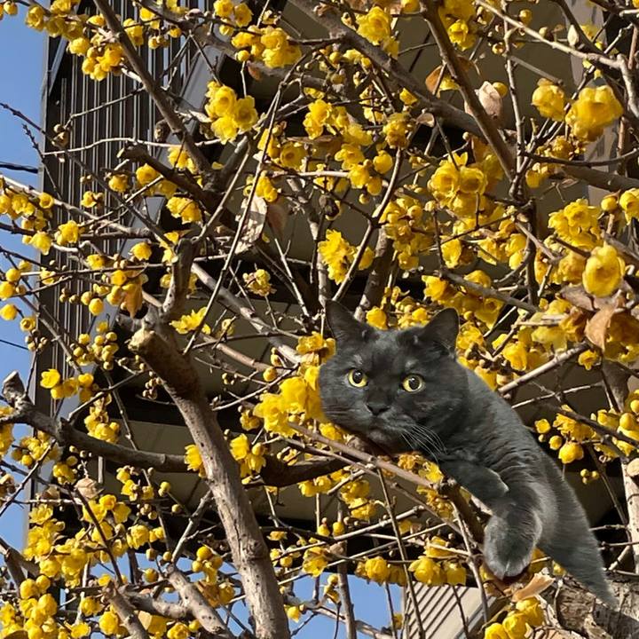 A8de5c06 1313 4607 b4cd 55e6ea962002 1769635421570