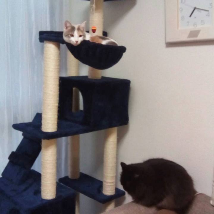 A8de5fae d19f 417c 9a4c 7595b4c03f1b 1639539192164