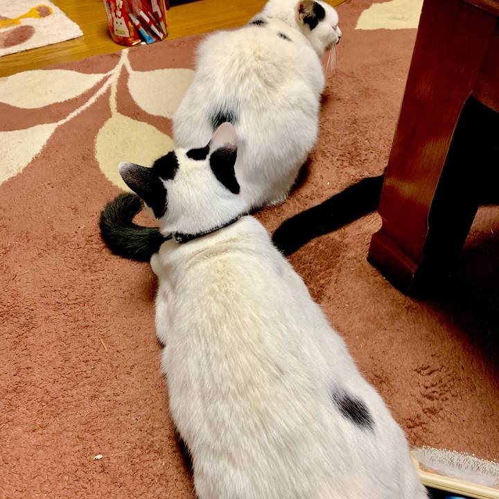 A8de7b5d aa9b 4be9 a5bb 2106477c0b4e 1547426994365