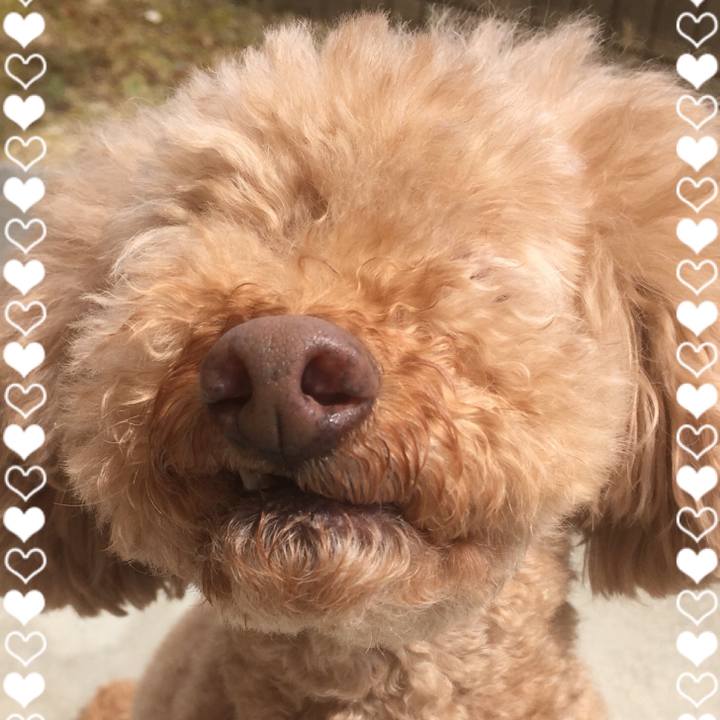 A8de7e6d 624a 4d1a 814f c838d34838ec 1523507240168