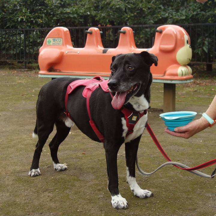 A8dea38c fd5d 4937 8fbd b45916f16d53 1693701920405