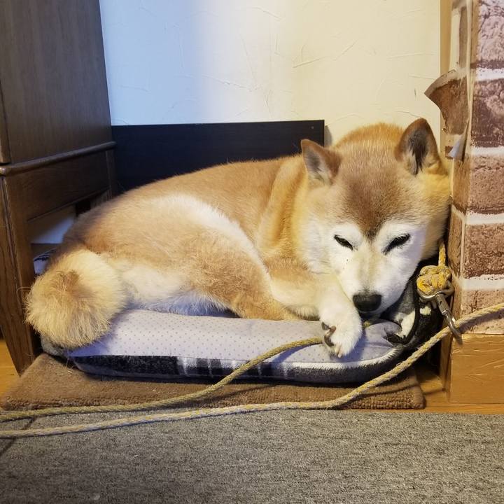 A8deb944 d518 4d48 9d43 e7501458cb92 1688946248336