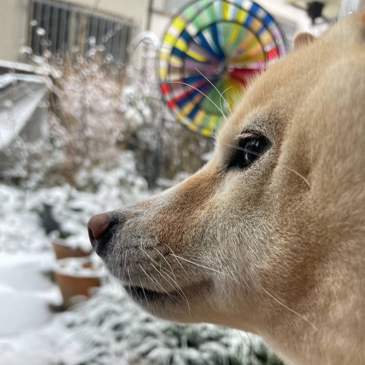 A8dec325 5516 4fc3 8efa dc7f0867062a 1675993781351