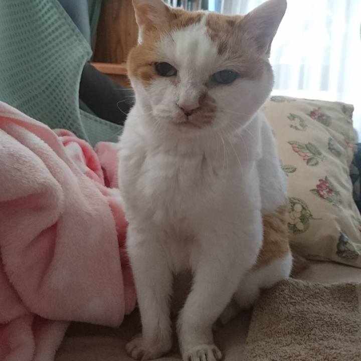 A8dee50e a64b 44c3 9319 2330d3270140 1534463743332