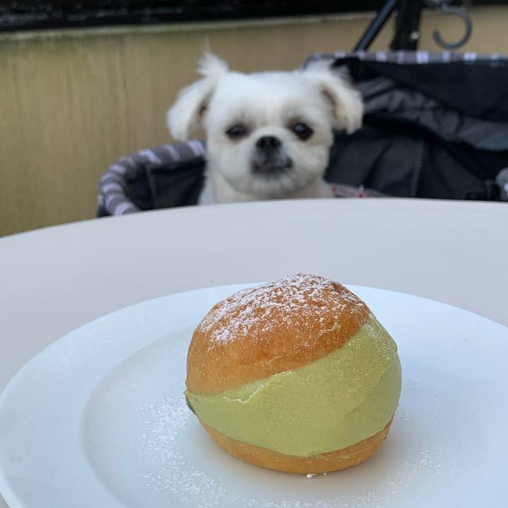 A8df0b25 7741 444b 8a55 ed4cb18a6f45 1633350625973