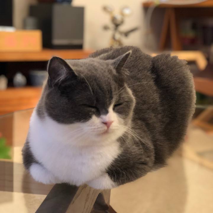 A8df19be 3d7b 4cfe 82ec 2267b5bc52b9 1540008293958