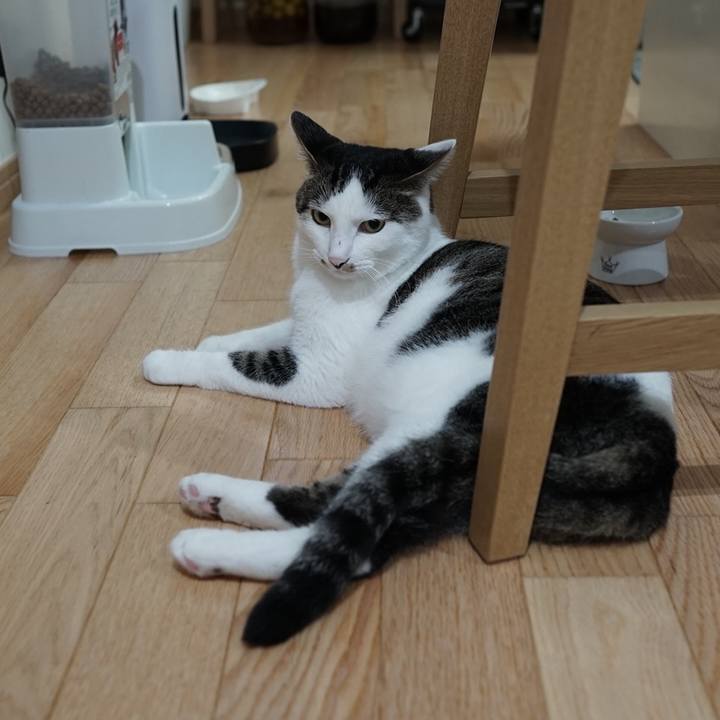 A8df2839 439a 438d a541 428e5d9b9254 1563493311874