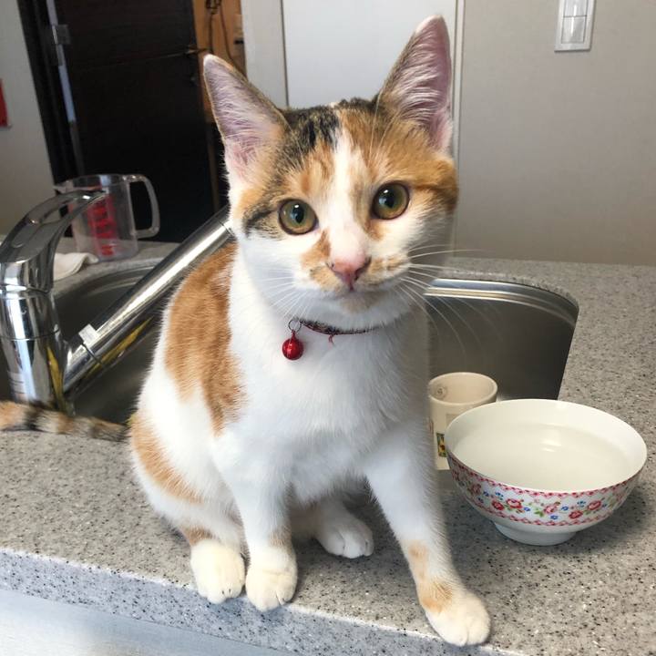 A8df36e1 9e7a 4af8 9340 030095fe9591 1572565194699