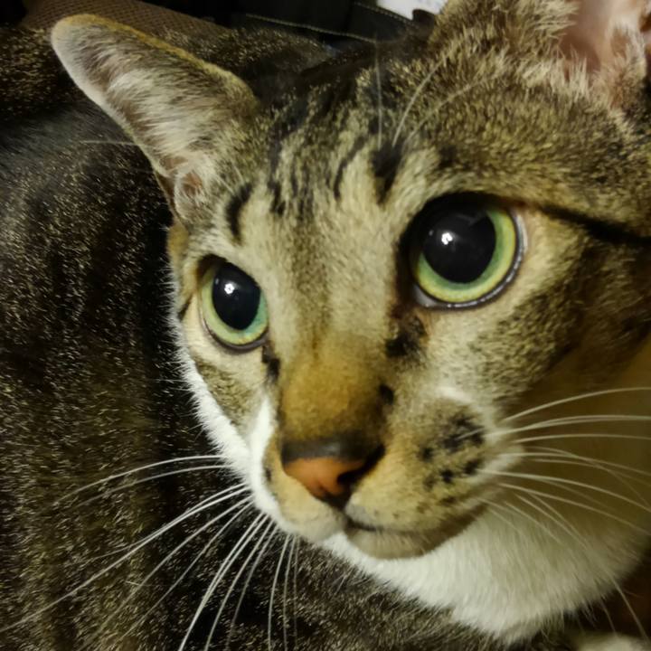 A8df97c8 2184 4577 814c 6f15cd80b503 1521722772531