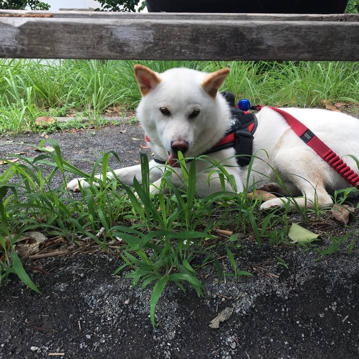 A8dfa528 05be 4691 b893 0a640cf9b97a 1561717656773