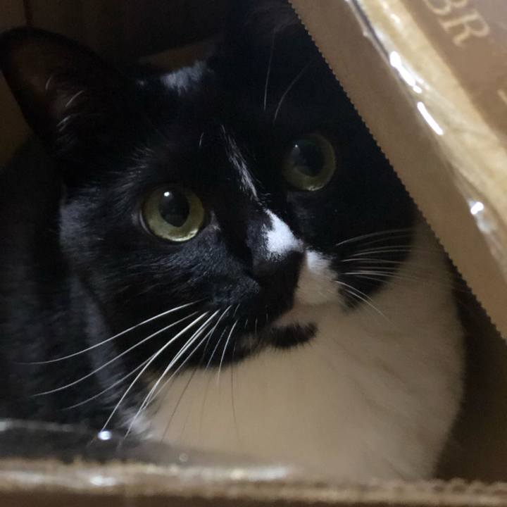 A8dfb00f 8d21 409a 9f11 74e8f8e2ca6f 1556972846795