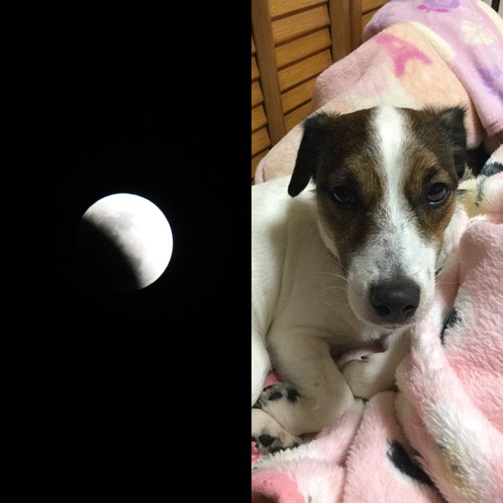 A8dfd6e8 1297 4963 aa0c fdb53ad35300 1517401088377