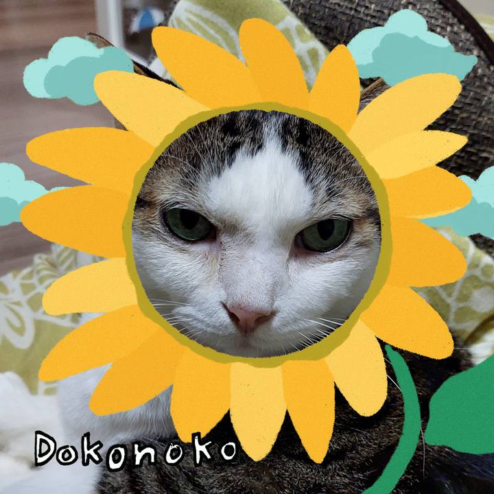 A8dff9dc 3473 4b69 8fed b8d5f26db6c3 1723240544901