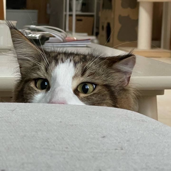 A8dffefc 21ea 4b38 974c 0d249c8bd2ed 1658002476411