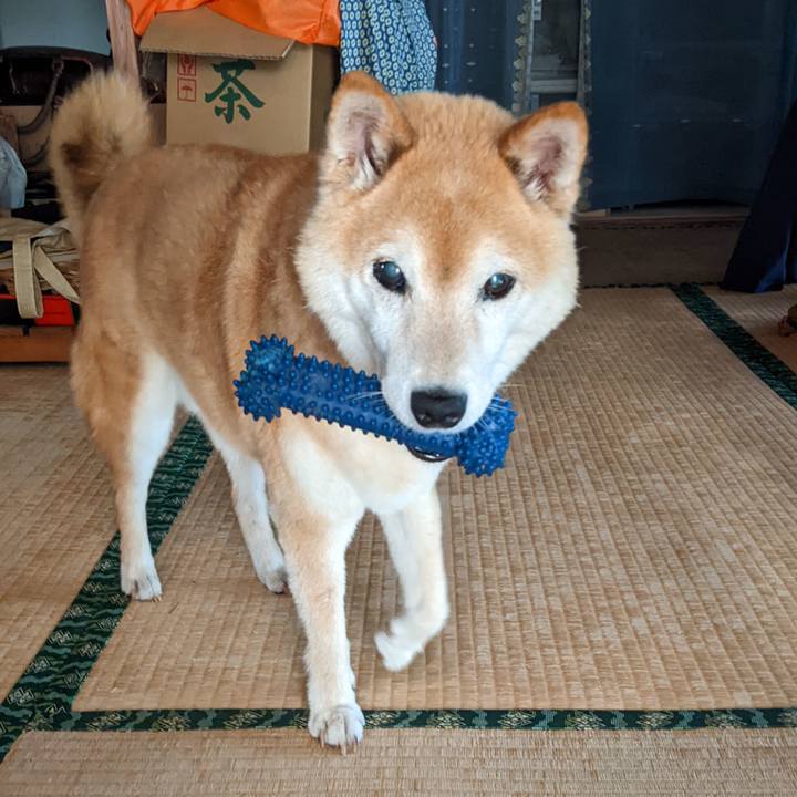 A8e01f58 57e1 4aff af1e 790436027092 1756815934792