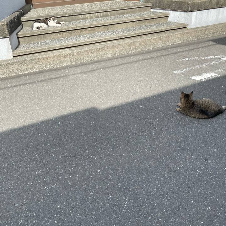 A8e027fc fcb6 466c be6e 650d0b1a7cc7 1647412146655