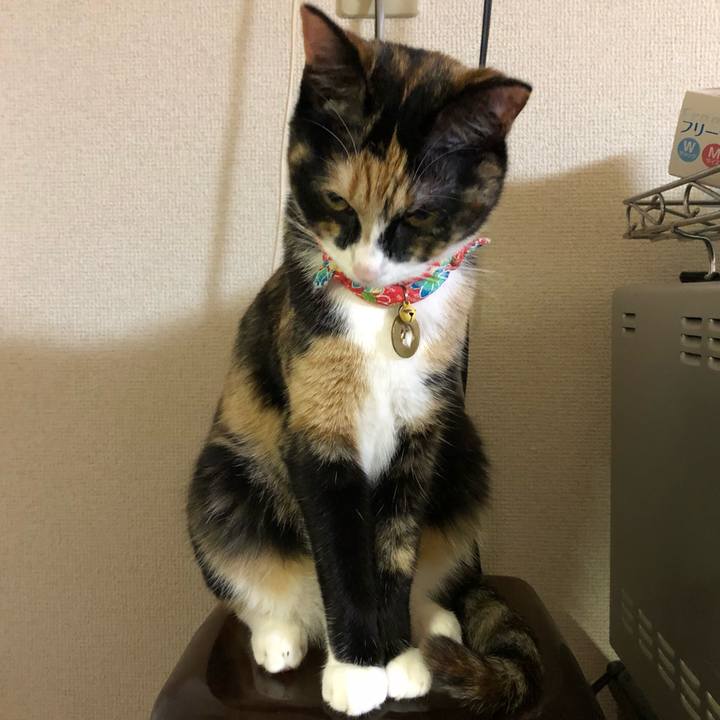 A8e02915 ea32 4cbd bc5b 83e5d7ffd84e 1559571677532