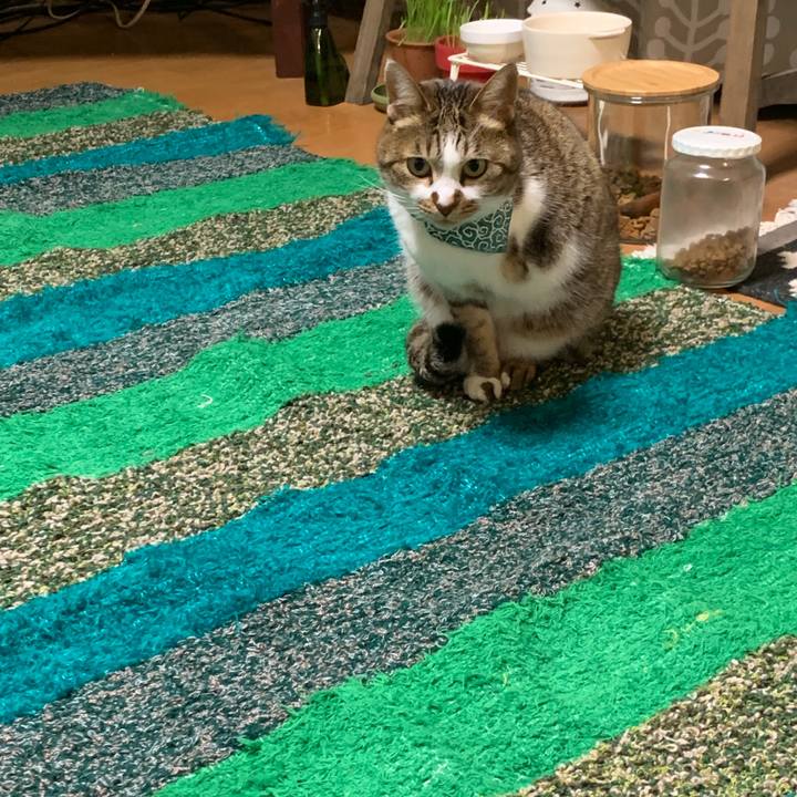 A8e02d64 5299 43a9 b549 f04024a47e00 1577363409090