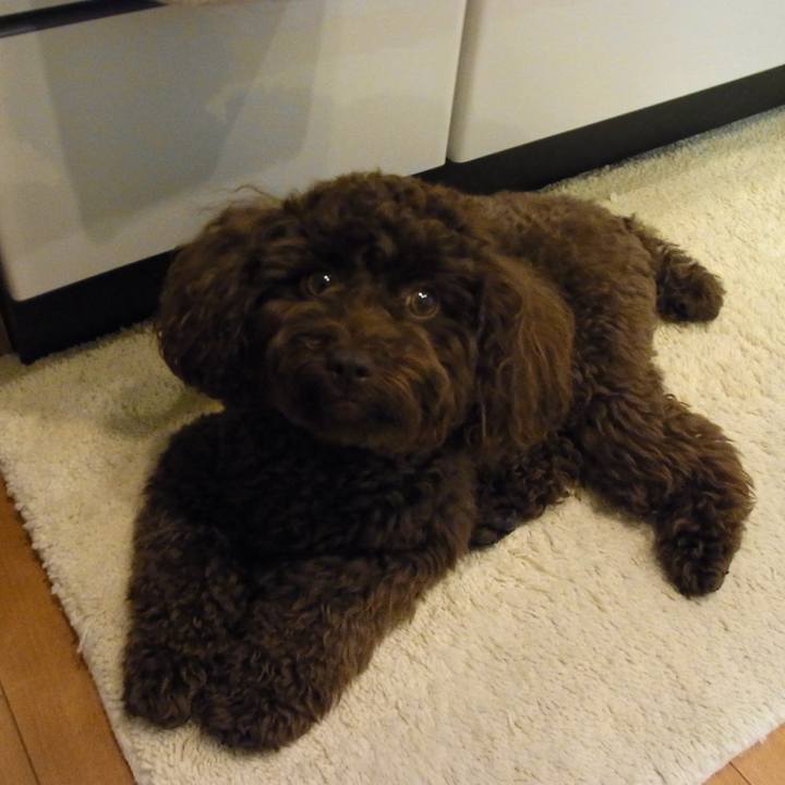 A8e05ed4 e9b6 4306 bc28 189e124313c3 1760575674301