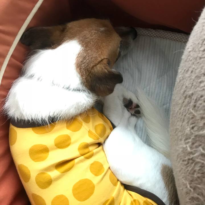 A8e0685c 8819 4291 a1f1 d506a93fe948 1529802828228