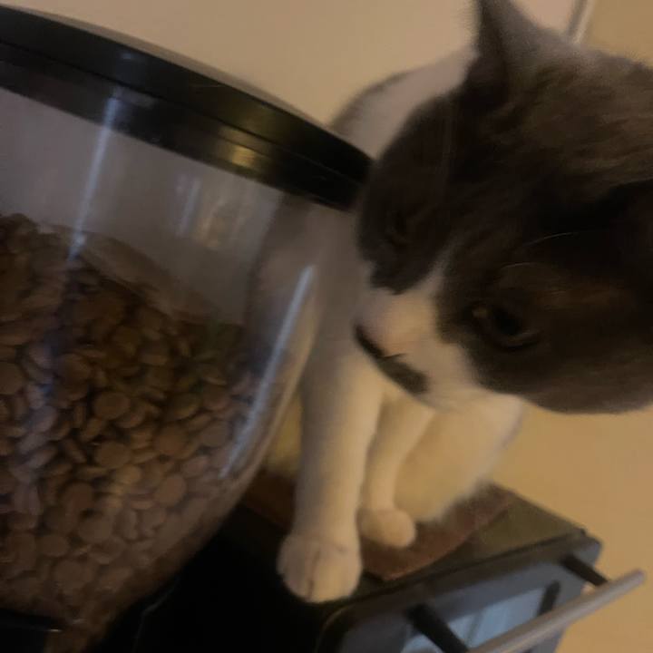 A8e0a09d 7a9b 48f9 a4b4 14e2a51d99a7 1734995657210