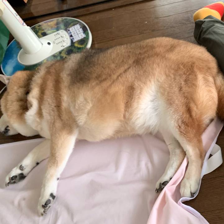 A8e0ad0e 7ba5 4a09 9e02 d1ba676ea42d 1666411305621