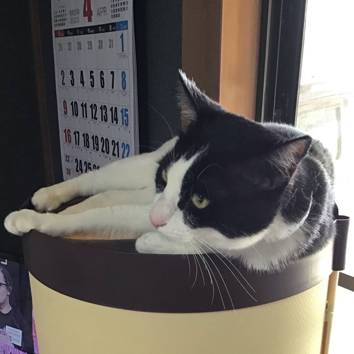 A8e0ad39 ad8c 4d20 af28 8ab1f69e6a07 1682684958697