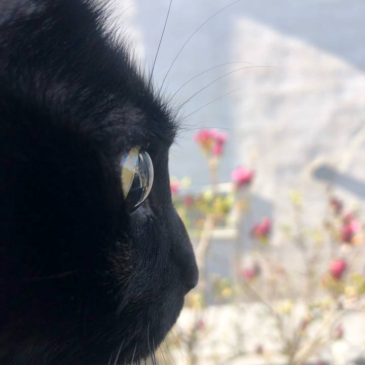 A8e11129 22b1 428a 84a1 27c478f0bff0 1616804683074