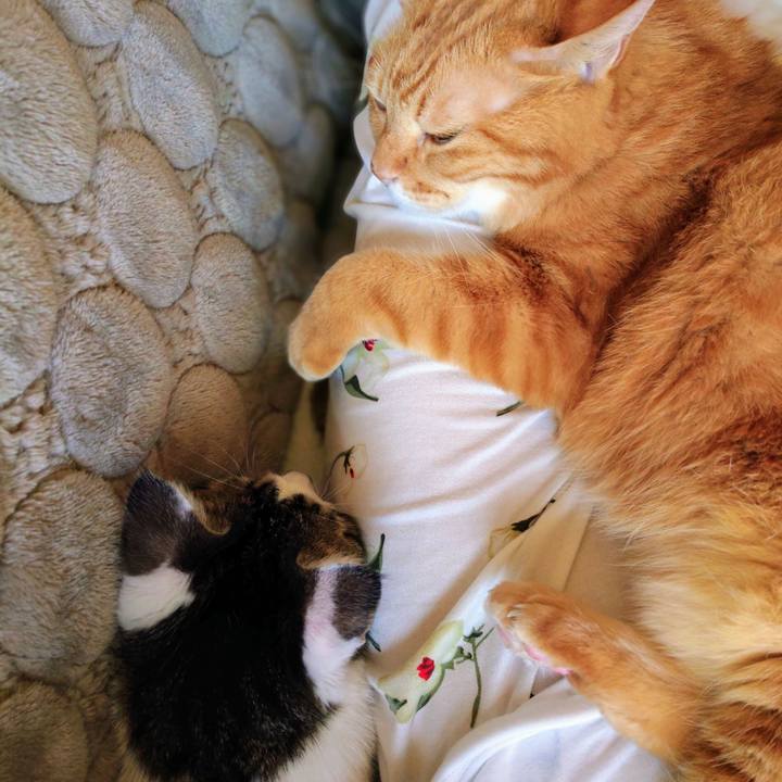 A8e11eab 98b5 4544 b5ca f13d1808ed11 1603685511241