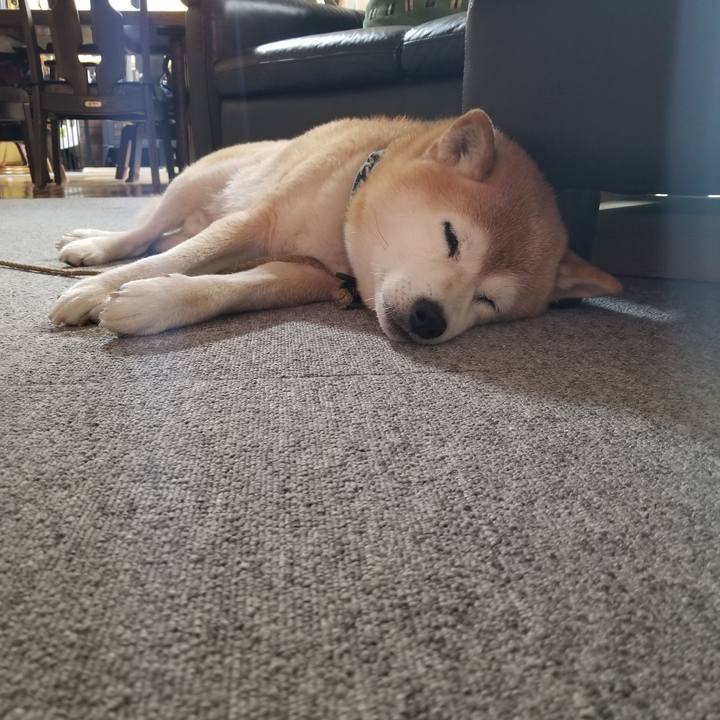 A8e11f5f e4b2 4ff2 9e18 db886d52120e 1703373311467