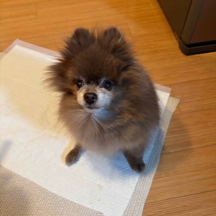 A8e149be 38c7 4397 86c4 cce039f4154a 1775200305430