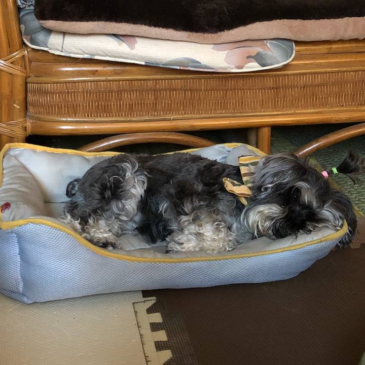 A8e174e3 d264 430f a65f 248d442efb2f 1531638400928