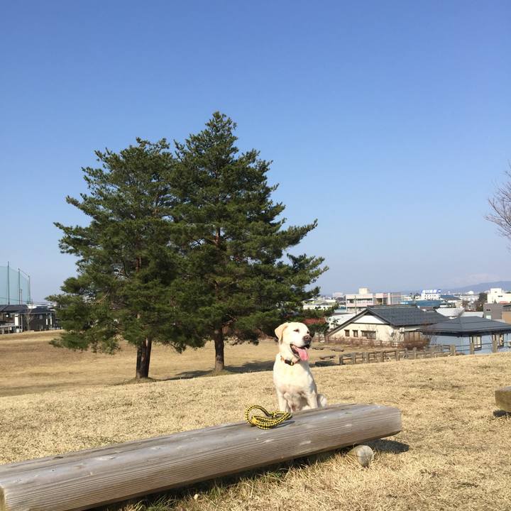 A8e19b01 f6fe 42ee 99d9 de3c0b9552a5 1522133096769