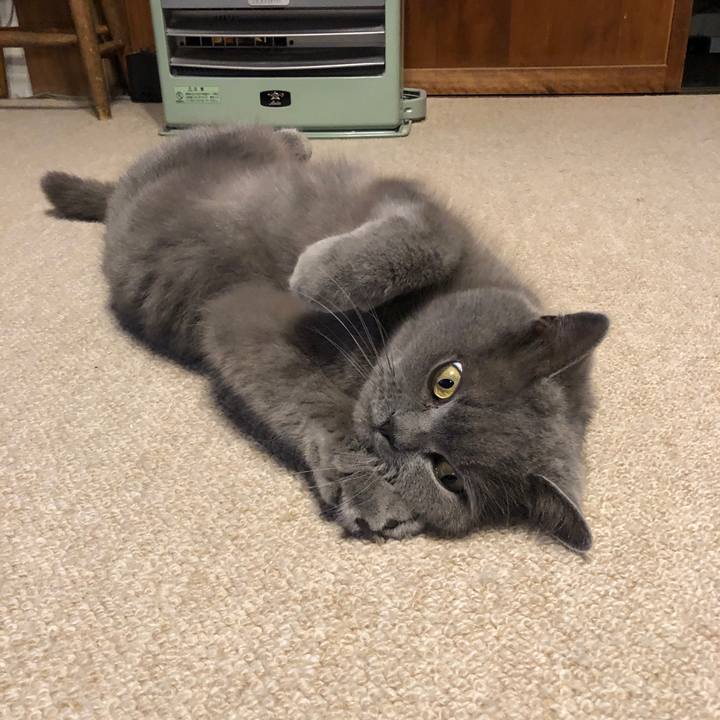 A8e1a152 d743 442f a375 8a84f7331f5e 1616377986829